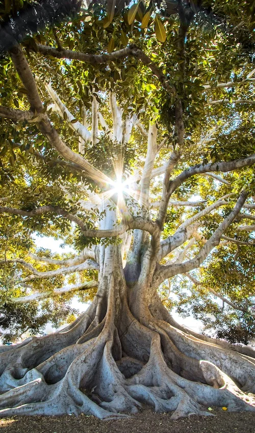 esihenkilökoulutuksen sisältö